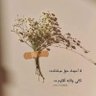محمدسيد's profile picture