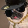 Profilbild von Stephen
