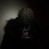 3 profil fotoğrafı