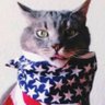 Patriot Cat's profile picture