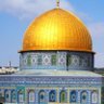 Фото профиля ابومحمد🇾🇪🇵🇸(مقيدلاتلغي)