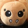 Profilbild von COOKIE TRAJKOVIC