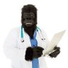 Profilbild von Dr. Bob