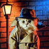 Super Sleuth's profile picture