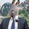 NADORWASIT's profile picture