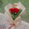 Profilbild von مۣۗہشـ❣ـہآ عﮧلﮧ