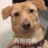 wwz's profile picture