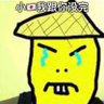 Profilbild von 张献忠摧毁停车场