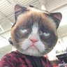 Mathew's profile picture