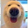Makes You Laugh 🦇 profil fotoğrafı
