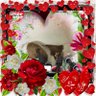 moka's profile picture