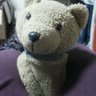 kei_kuma profil fotoğrafı