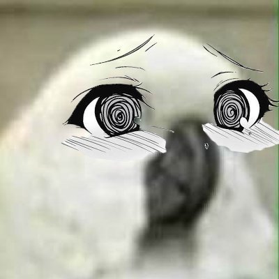 takoiyaki69's profile picture