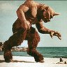 william rees's profile picture