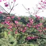 Jianhua Lai's profile picture