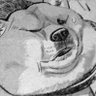 Profilbild von わしゃ犬