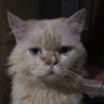 R's profile picture