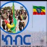 Fasil Degefa's profile picture