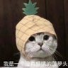 Profilbild von 没有感情的菠萝头