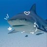 Profilbild von black_ocean