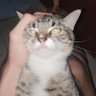 Pooii profil fotoğrafı