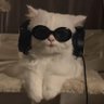 وحدة الله يحفظها's profile picture