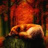 BradleeGG's profile picture