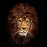 المُصَامِص's profile picture