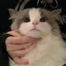 Profilbild von Frika