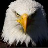 Фото профиля That Idaho Chick