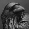 Profilbild von the ghost a crow