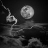 Salem011's profile picture