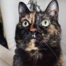 Profilbild von Freya