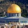 شامخ الجرادي الجرادي's profile picture
