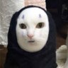 jaso's profile picture
