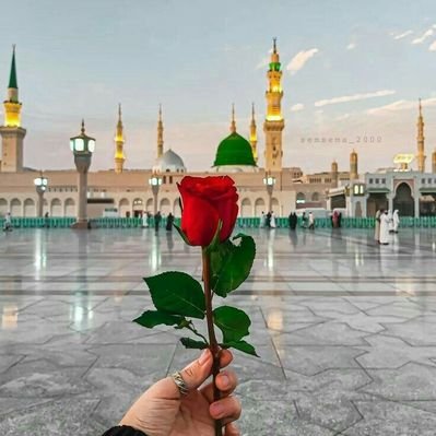 Mohammad Shahab's profile picture