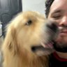 Cinannon's profile picture