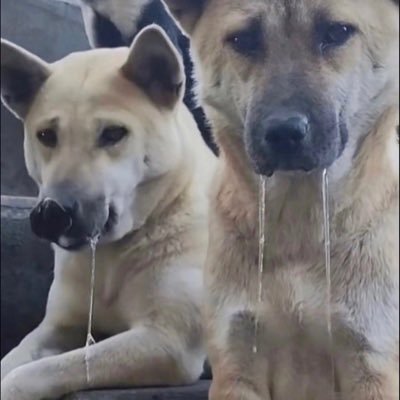 中国站街's profile picture