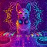 Фото профиля Zedbox