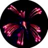 saku🎆 的头像
