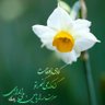 Profilbild von حسین توکلی