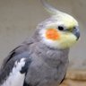 Profilbild von zero zero