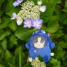 久月's profile picture