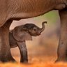 Fascinature profil fotoğrafı