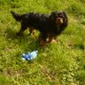 Profilbild von Domy SPYKE
