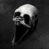 ЯƎƎMAƧ profil fotoğrafı