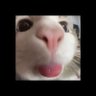 Profilbild von Bokya⁷