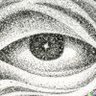 Liminal Insight's profile picture