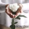 lila S.F. 🇧🇷🇧🇷🇧🇷 的头像