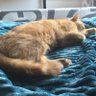 Profilbild von schlaby77